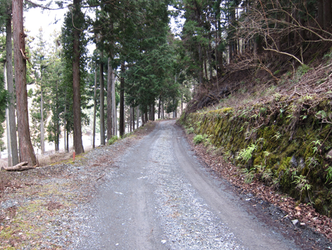 20190205hike (344)